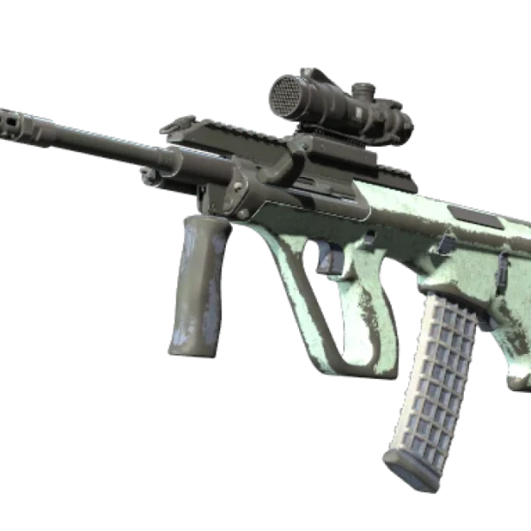 Souvenir AUG | Storm (Battle-Scarred)