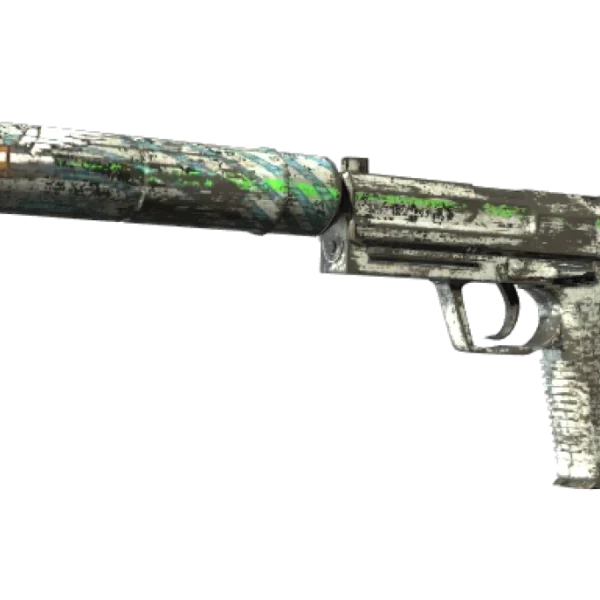 Souvenir USP-S | Road Rash (Battle-Scarred)