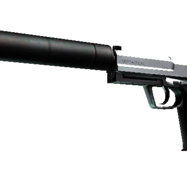 StatTrak™ USP-S | Stainless (Factory New)