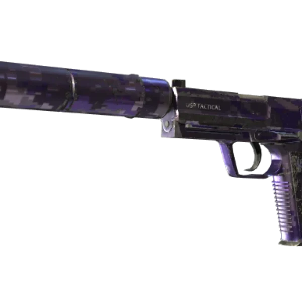 USP-S | Purple DDPAT (Well-Worn)