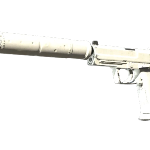 USP-S | Whiteout (Well-Worn)