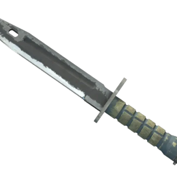 ★ Bayonet | Night (Battle-Scarred)