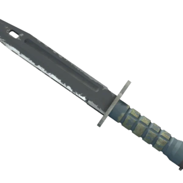 ★ Bayonet | Night (Field-Tested)