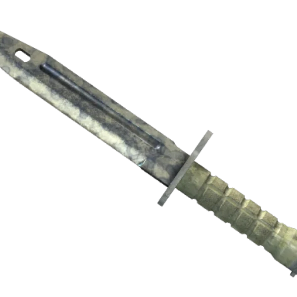 ★ Bayonet | Stained (Battle-Scarred)