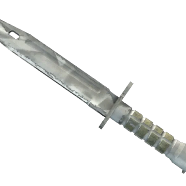 ★ Bayonet | Urban Masked (Field-Tested)