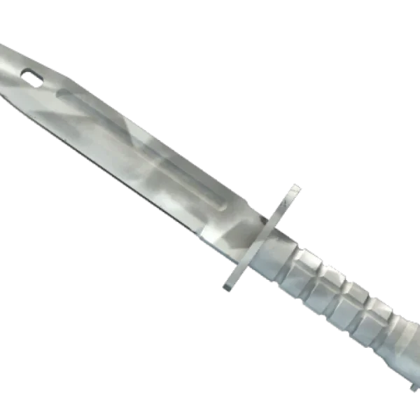 ★ Bayonet | Urban Masked (Minimal Wear)