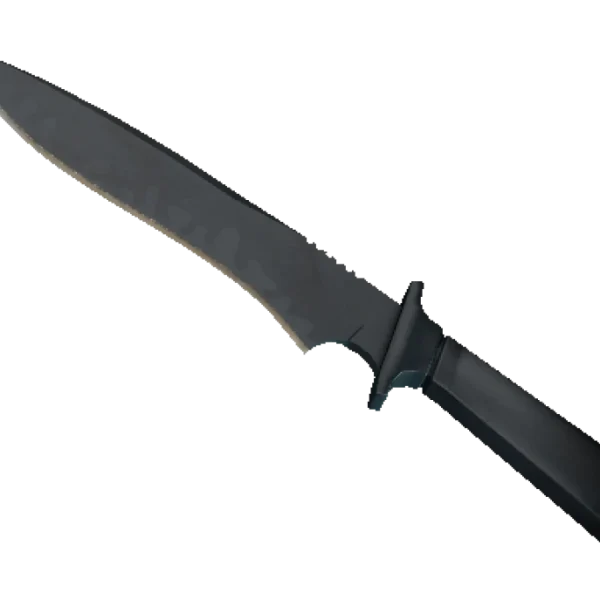 ★ Classic Knife | Night Stripe (Minimal Wear)