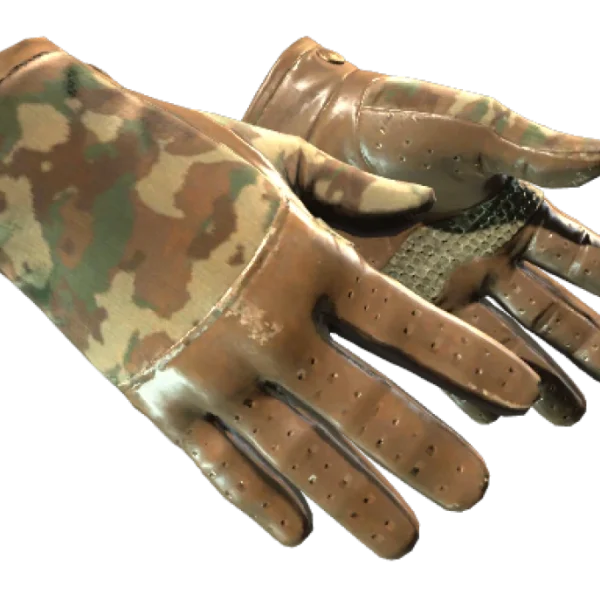 ★ Driver Gloves | Convoy (Well-Worn)