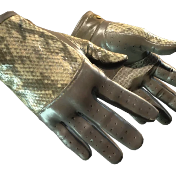 ★ Driver Gloves | Diamondback (Well-Worn)