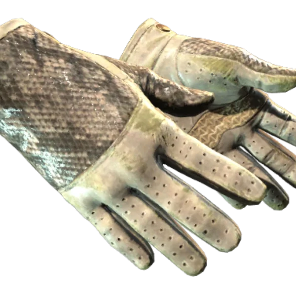 ★ Driver Gloves | King Snake (Battle-Scarred)