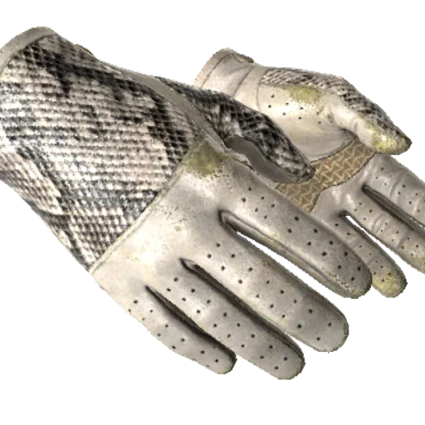 ★ Driver Gloves | King Snake (Well-Worn)