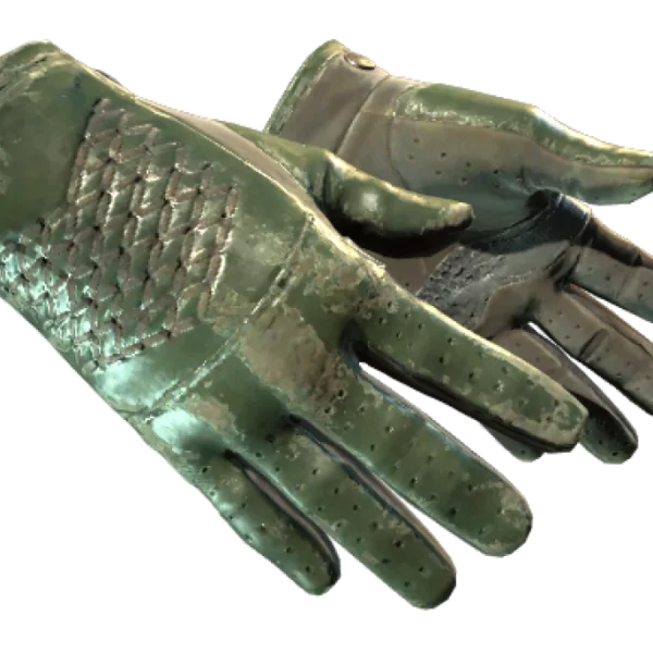 ★ Driver Gloves | Racing Green (Battle-Scarred)