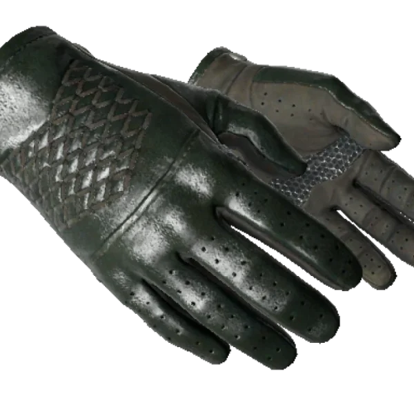 ★ Driver Gloves | Racing Green (Minimal Wear)