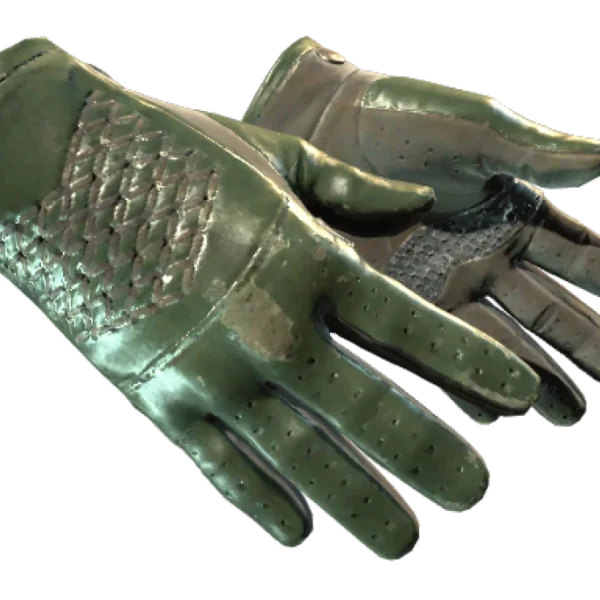 ★ Driver Gloves | Racing Green (Well-Worn)