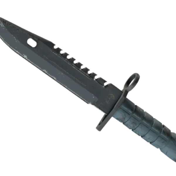 ★ M9 Bayonet | Night (Well-Worn)