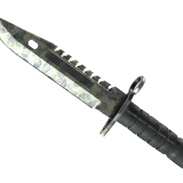 ★ M9 Bayonet | Stained (Battle-Scarred)