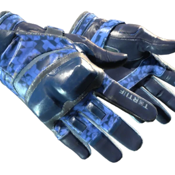 ★ Moto Gloves | Polygon (Field-Tested)