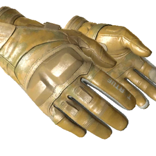 ★ Moto Gloves | Transport (Minimal Wear)