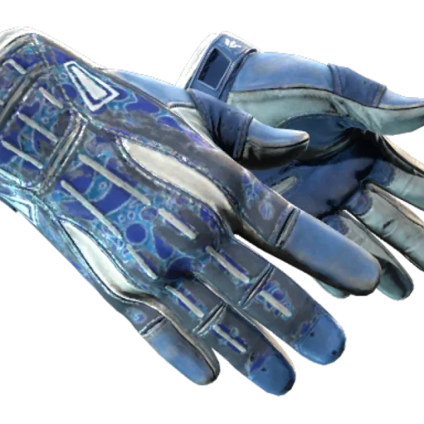 ★ Sport Gloves | Amphibious (Battle-Scarred)