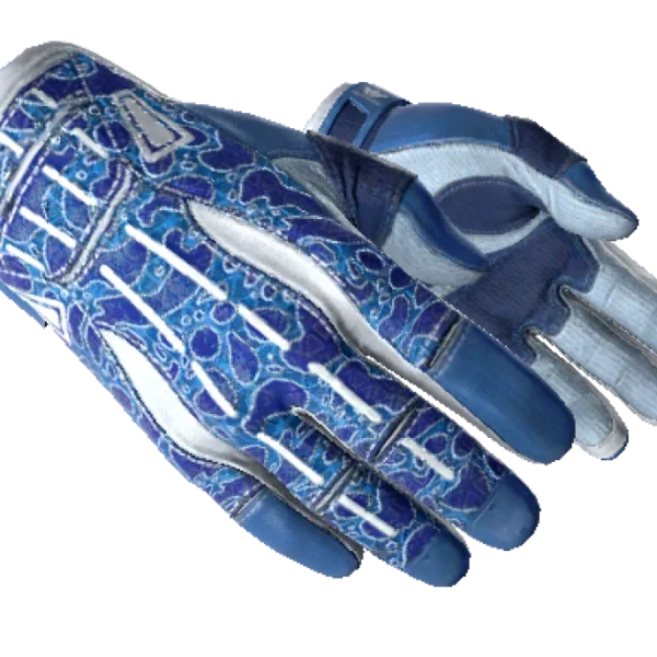 ★ Sport Gloves | Amphibious (Minimal Wear)