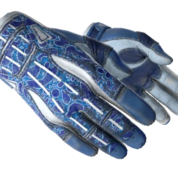 ★ Sport Gloves | Amphibious (Well-Worn)