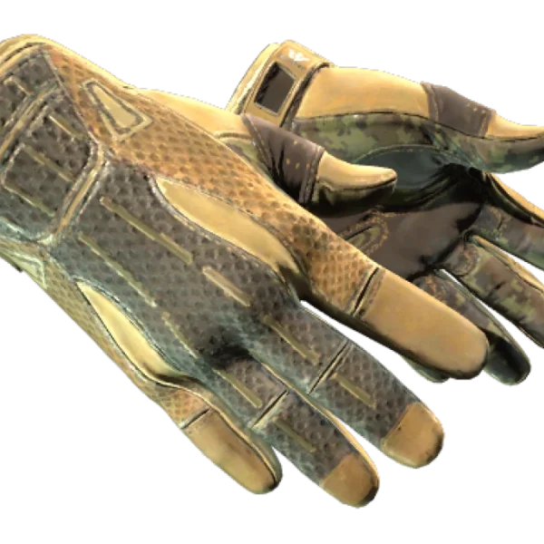 ★ Sport Gloves | Arid (Well-Worn)