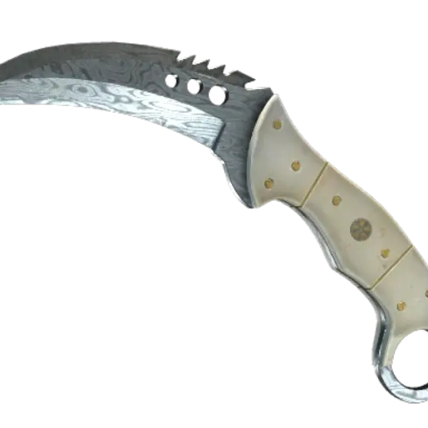 ★ StatTrak™ Talon Knife | Damascus Steel (Field-Tested)