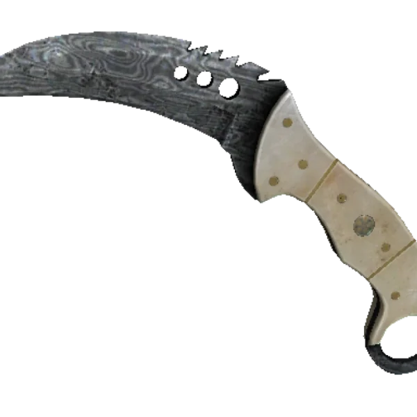 ★ Talon Knife | Damascus Steel (Battle-Scarred)