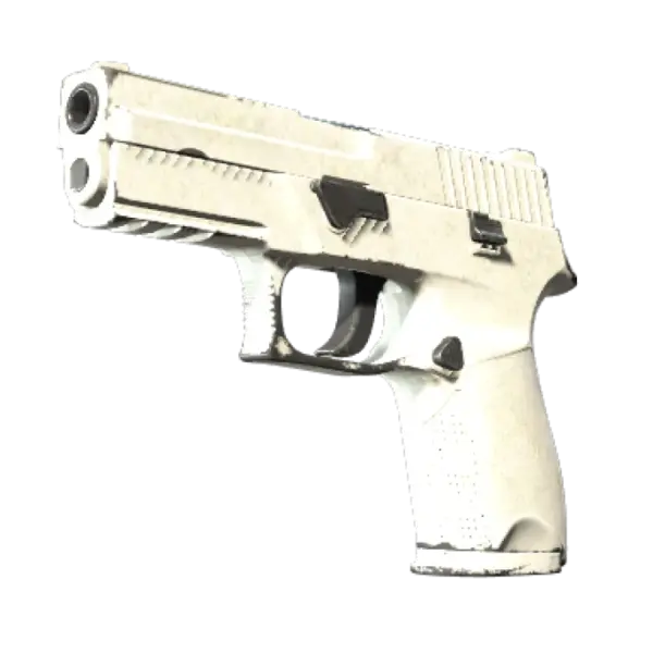 P250 | Whiteout (Well-Worn)