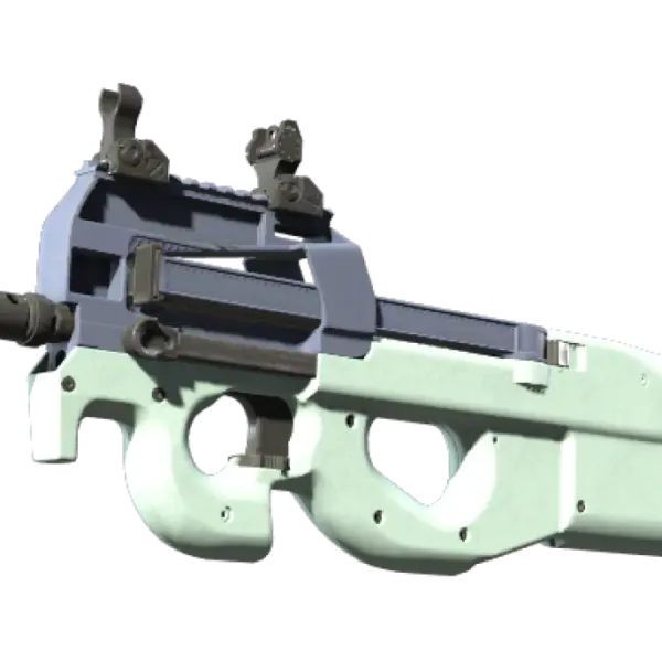 P90 | Storm (Factory New)