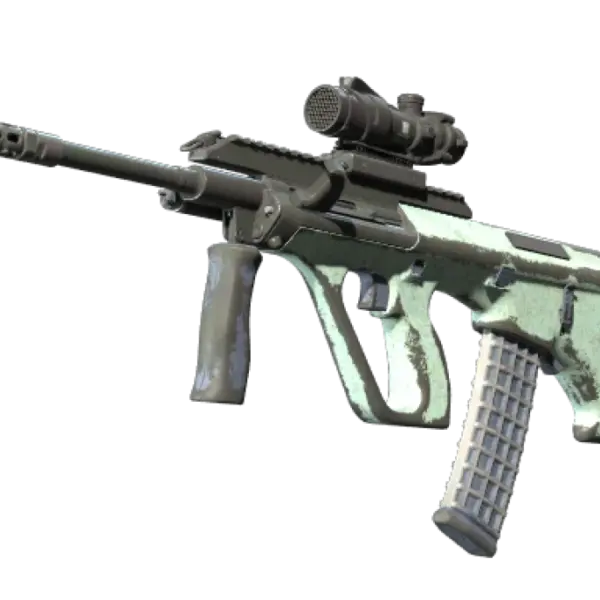 Souvenir AUG | Storm (Battle-Scarred)