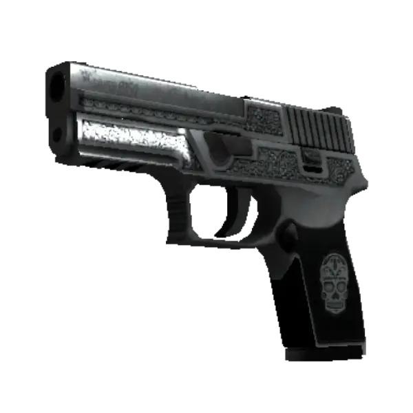 StatTrak™ P250 | Cartel (Well-Worn)
