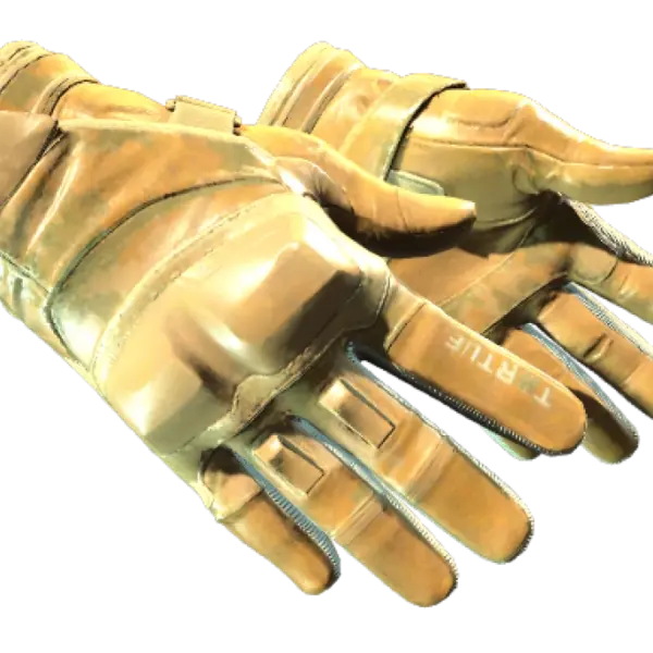 ★ Moto Gloves | Transport (Factory New)