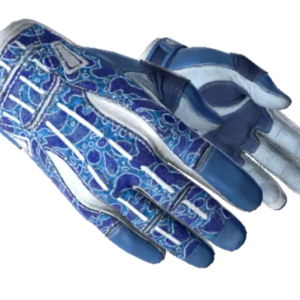 ★ Sport Gloves | Amphibious (Factory New)
