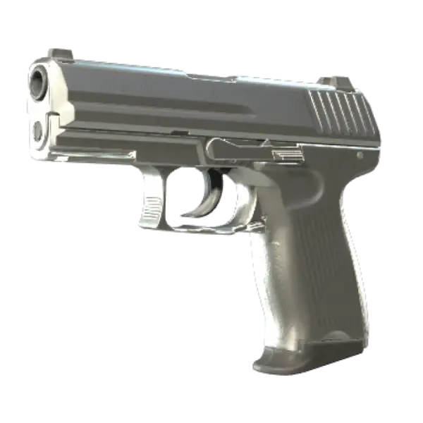 P2000 | Silver (Minimal Wear)