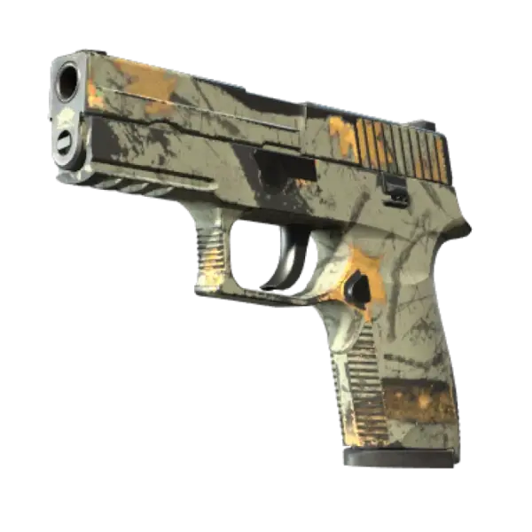 P250 | Modern Hunter (Well-Worn)