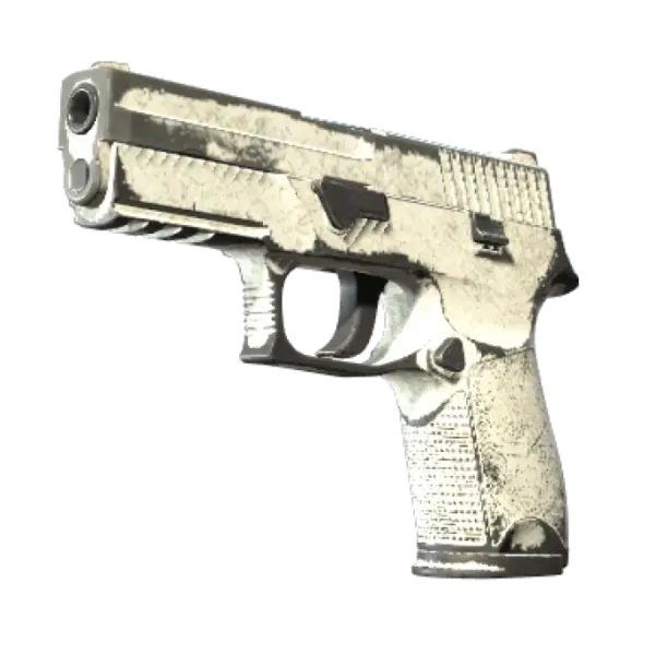 P250 | Whiteout (Battle-Scarred)