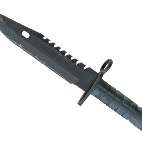 ★ M9 Bayonet | Night (Well-Worn)
