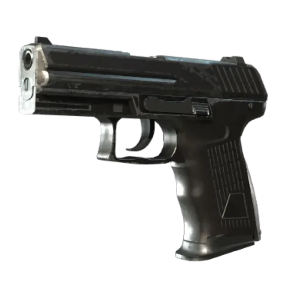 P2000 | Panther Camo (Field-Tested)