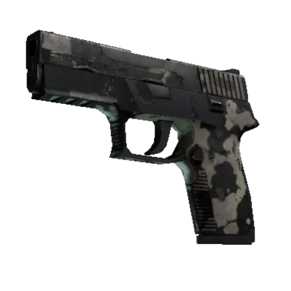 P250 | Black & Tan (Battle-Scarred)