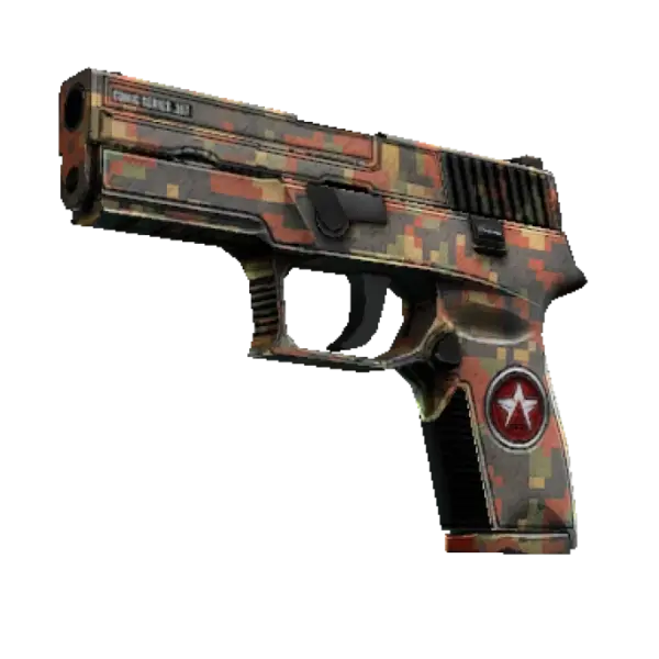 P250 | Red Rock (Well-Worn)