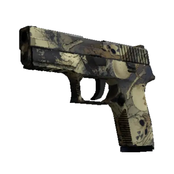 P250 | Contamination (Well-Worn)