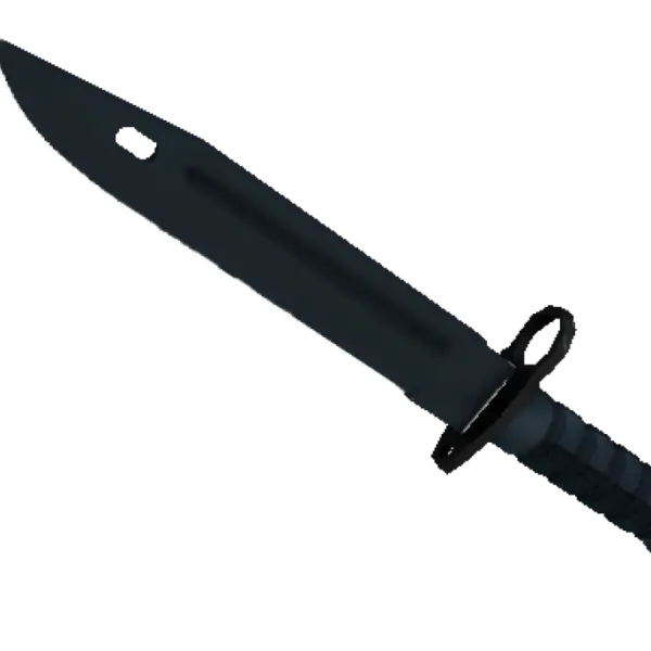 ★ Bayonet | Night (Minimal Wear)