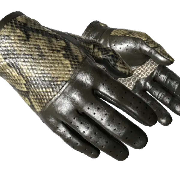 ★ Driver Gloves | Diamondback (Minimal Wear)