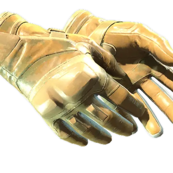 ★ Moto Gloves | Transport (Factory New)