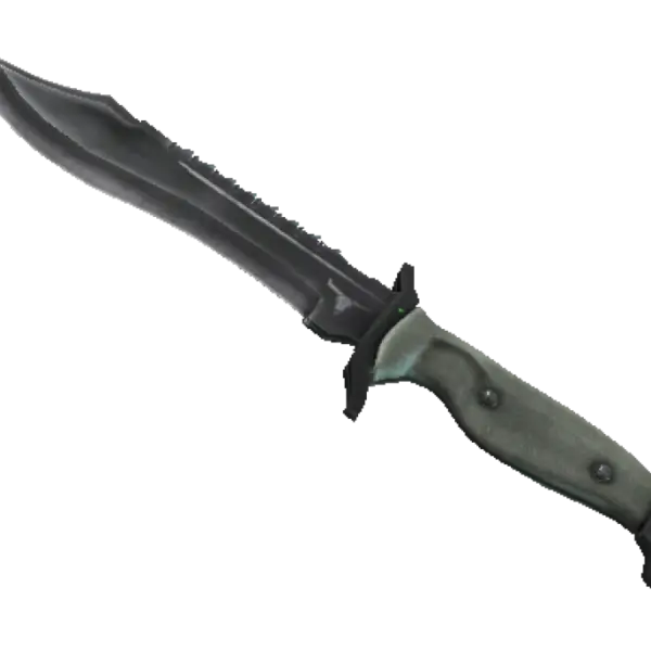 ★ StatTrak™ Bowie Knife