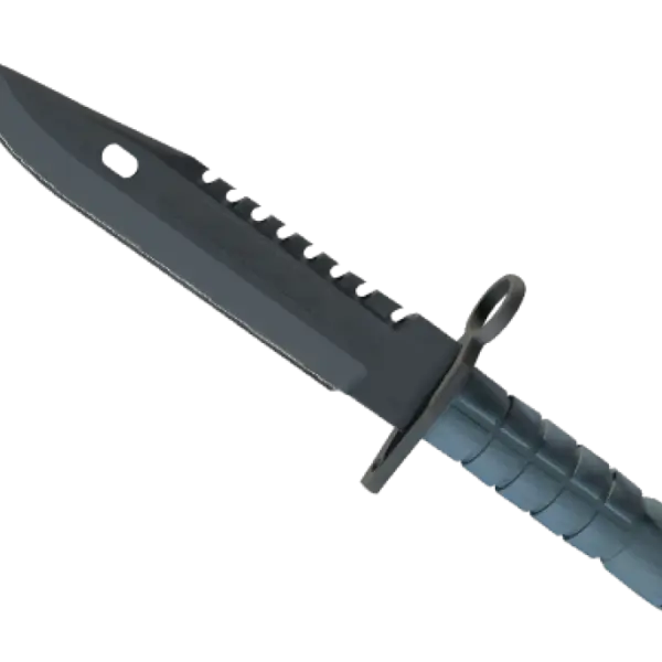 ★ M9 Bayonet | Night (Factory New)