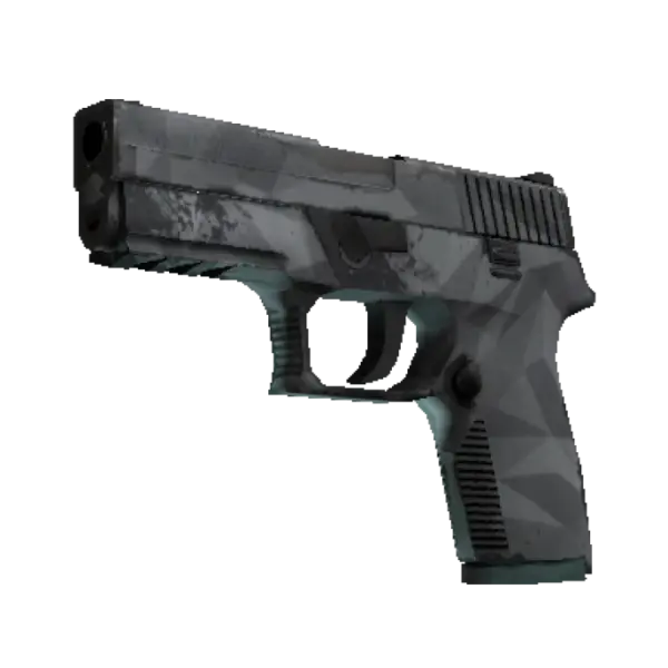 P250 | Facets (Field-Tested)