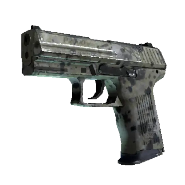 Souvenir P2000 | Granite Marbleized (Well-Worn)