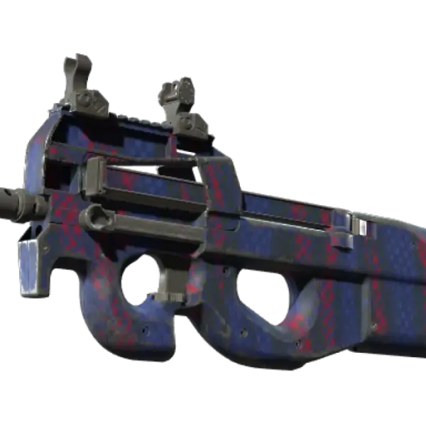 Souvenir P90 | Teardown (Well-Worn)